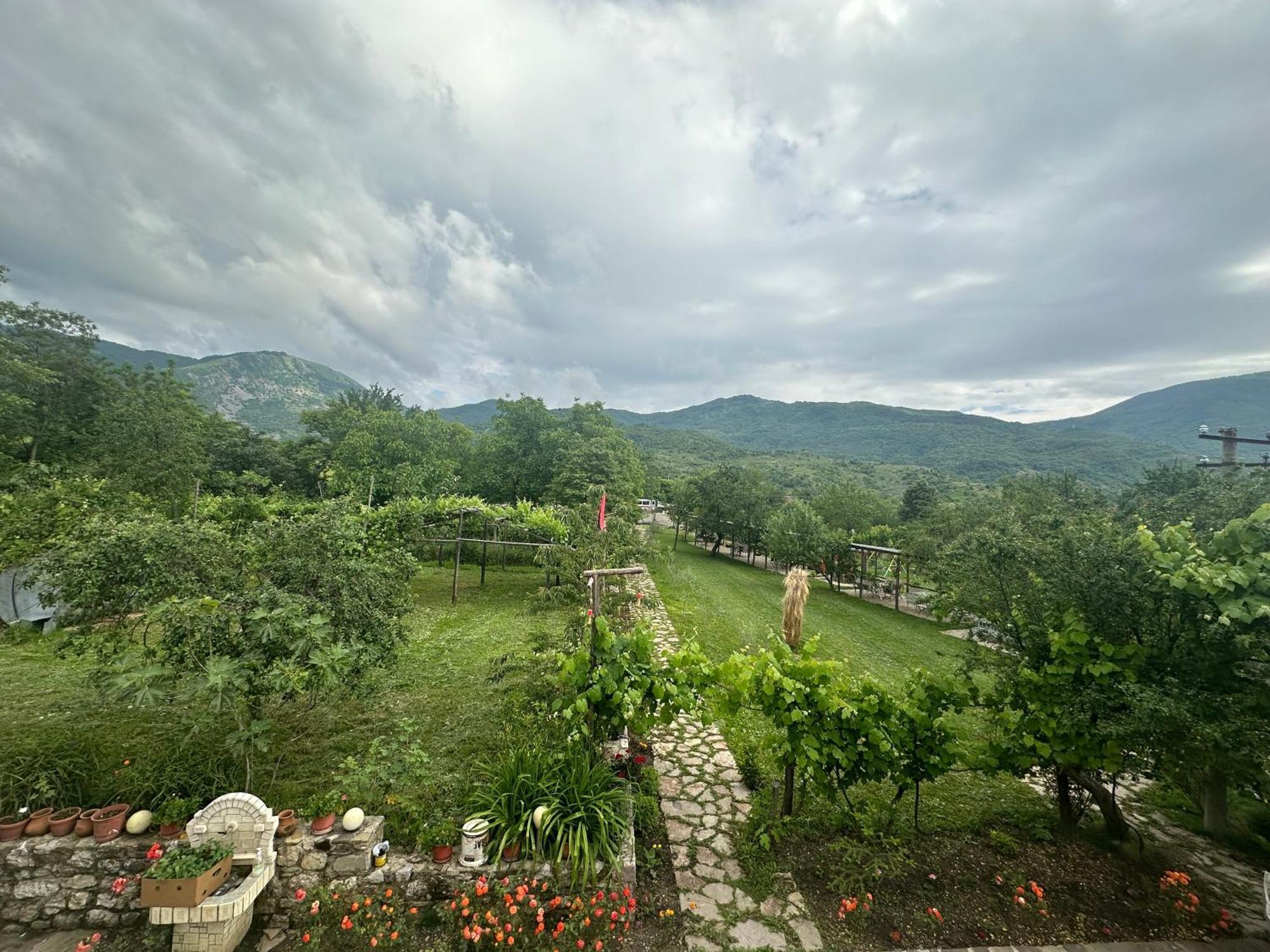Vila Disha Tirana Exterior photo