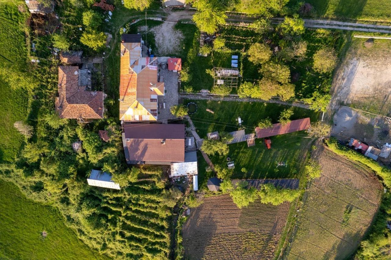 Vila Disha Tirana Exterior photo